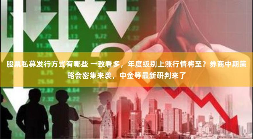 股票私募发行方式有哪些 一致看多，年度级别上涨行情将至？券商中期策略会密集来袭，中金等最新研判来了