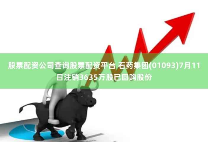 股票配资公司查询股票配资平台 石药集团(01093)7月11日注销3635万股已回购股份