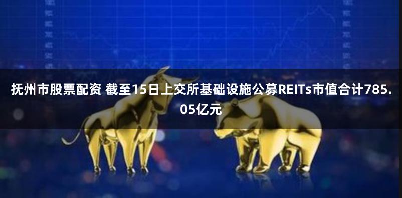 抚州市股票配资 截至15日上交所基础设施公募REITs市值合计785.05亿元