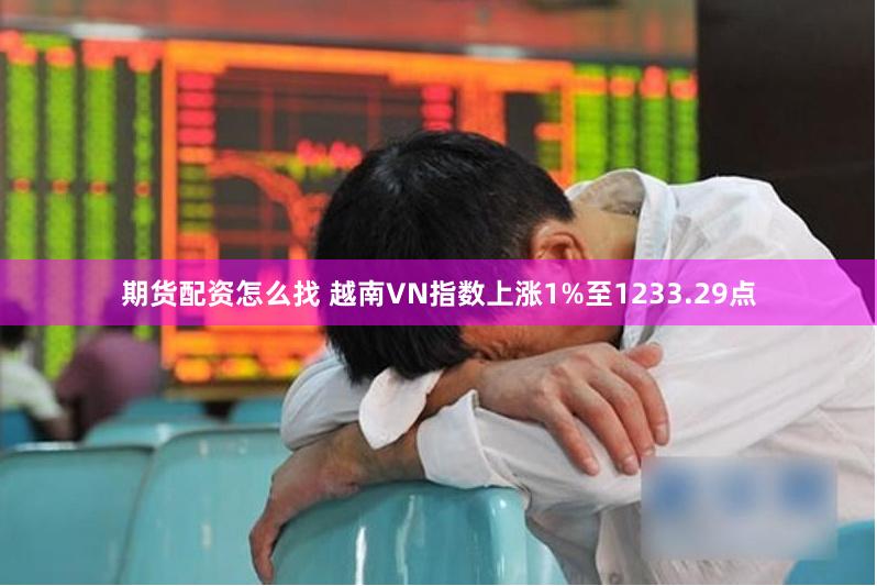 期货配资怎么找 越南VN指数上涨1%至1233.29点