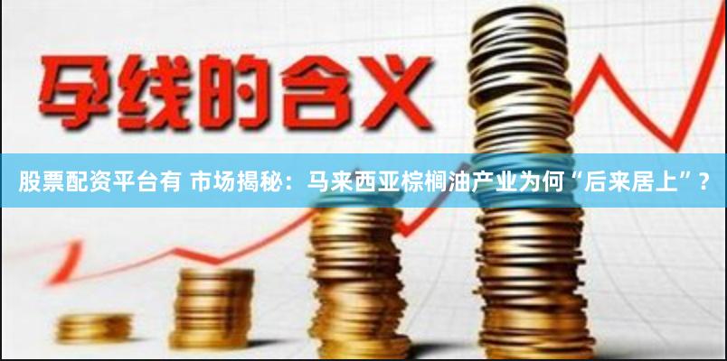 股票配资平台有 市场揭秘：马来西亚棕榈油产业为何“后来居上”？