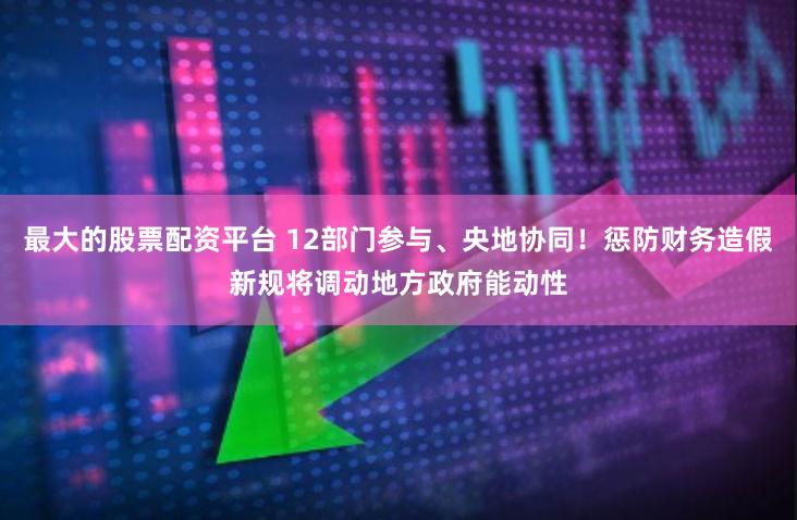 最大的股票配资平台 12部门参与、央地协同！惩防财务造假新规将调动地方政府能动性