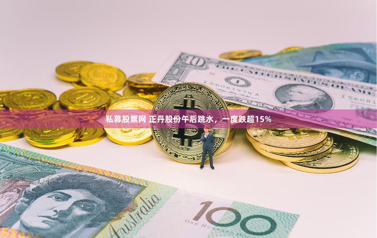 私募股票网 正丹股份午后跳水，一度跌超15%