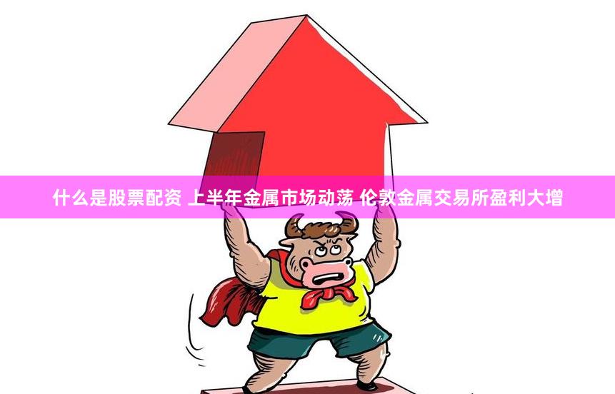 什么是股票配资 上半年金属市场动荡 伦敦金属交易所盈利大增
